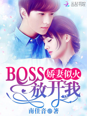 �����ƻ�BOSS���ſ���