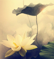 ��֮�����